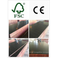 Concreto Cofragem WBP Cola 21 * 1250 * 2500mm (HB22)